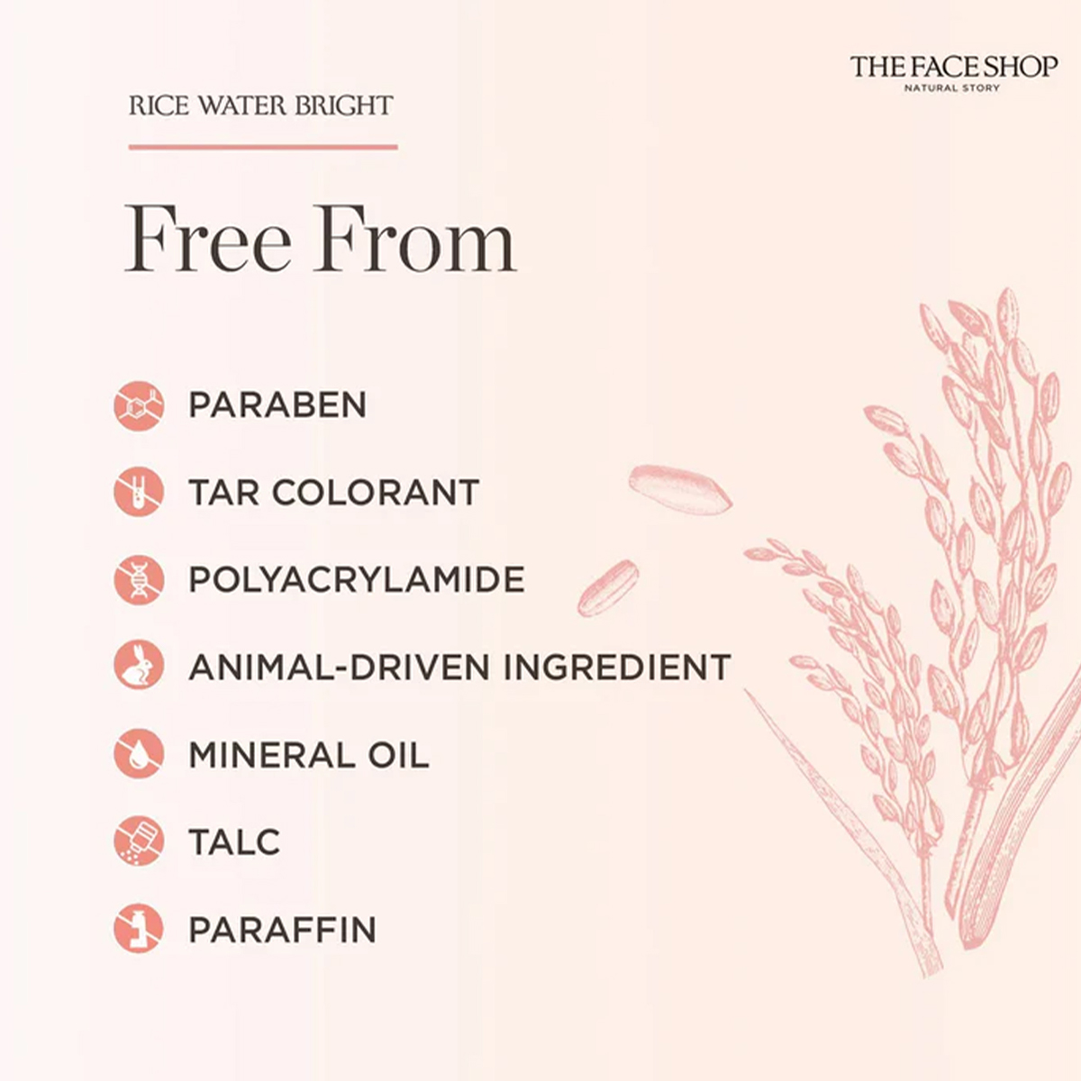 THE FACE SHOP RICE WATER BRIGH - Luxury Skincare Aesthetic ulasan dan harga